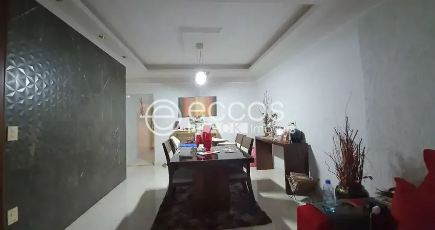 Casa à venda, 2 quartos, 2 suítes, 4 vagas, jardim holanda - uberlândia/mg