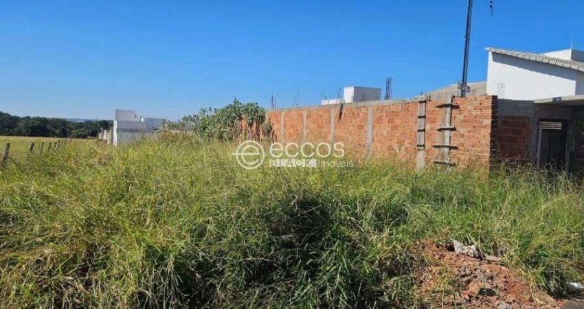 Terreno à venda na Rua Manuel de Souza, --, Interlagos, Araguari