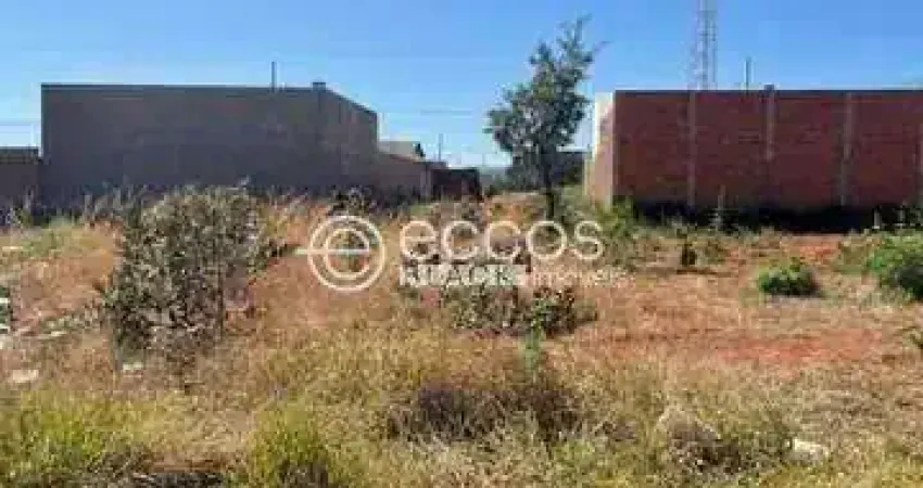 Terreno à venda na Rua Ruth Rocha, 101, Minas Gerais, Uberlândia