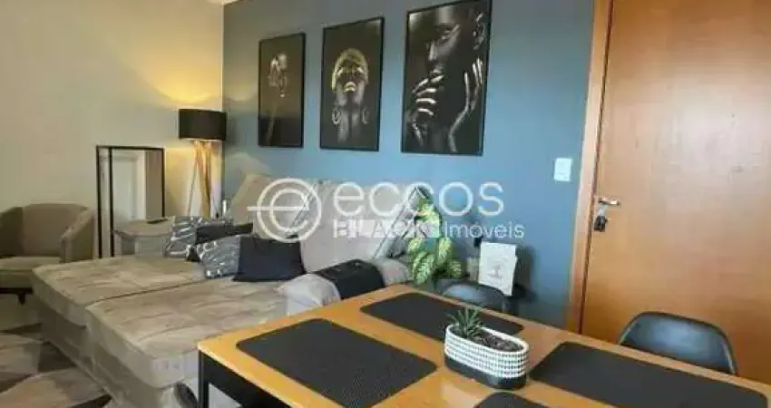 Apartamento à venda, 2 quartos, 2 vagas, pampulha - uberlândia/mg