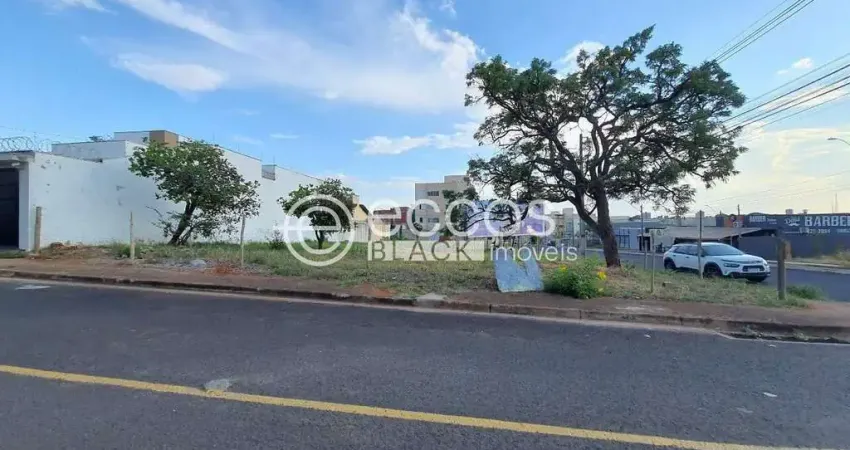 Terreno à venda na Avenida Palmeira Imperial, 84, Bosque dos Buritis, Uberlândia
