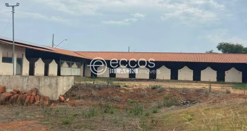 Terreno à venda na Avenida Teodoreto Veloso de Carvalho, --, Paineiras, Araguari