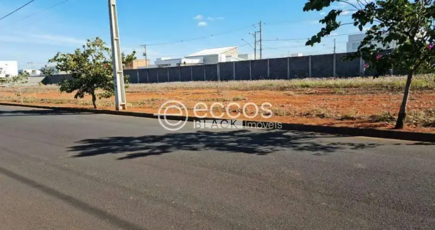 Terreno à venda na Avenida Palmeira Real, --, Novo Mundo, Uberlândia