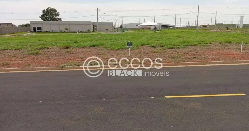 Terreno à venda na Avenida Teodoreto Veloso de Carvalho, 3772, Paineiras, Araguari