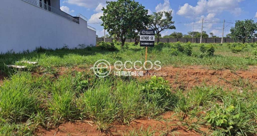 Terreno à venda na Rua Américo Augusto de Paula, --, Jardim Sul, Uberlândia