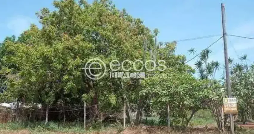 Chácara à venda, 3 quartos, parque das andorinhas - uberlândia/mg