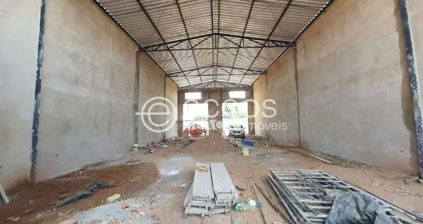 Casa com 1 quarto à venda na Alameda Jardim Holanda, 1316, Jardim Holanda, Uberlândia