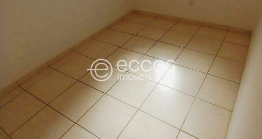 Apartamento à venda, 2 quartos, 1 vaga, Laranjeiras - Uberlândia/MG