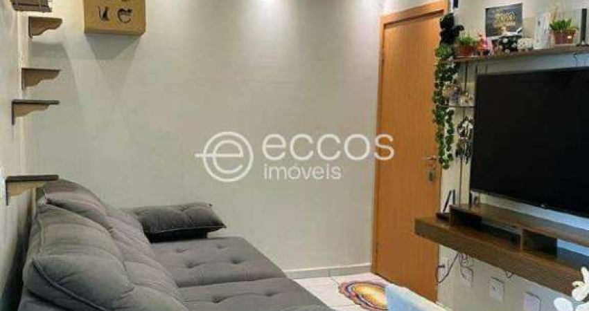 Apartamento à venda, 2 quartos, 1 vaga, Jardim Patrícia - Uberlândia/MG
