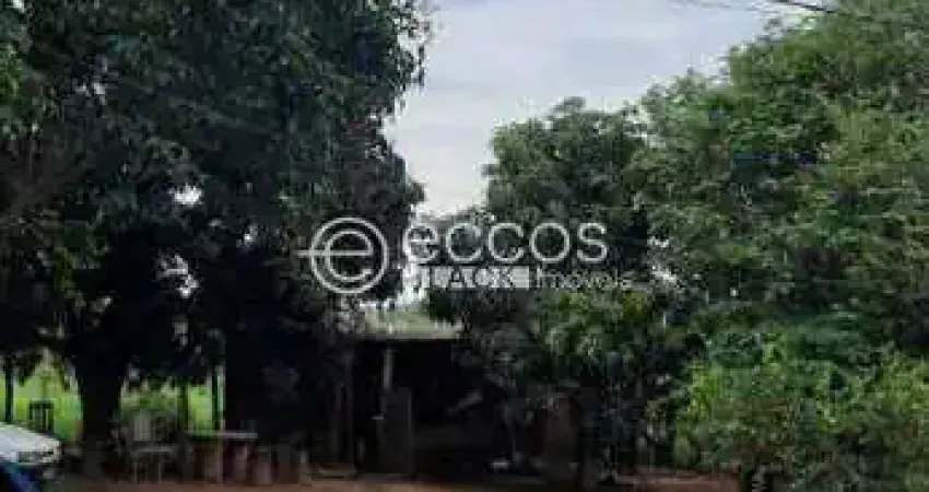 Chácara à venda, 4 quartos, Área Rural de Uberlândia - Uberlândia/MG