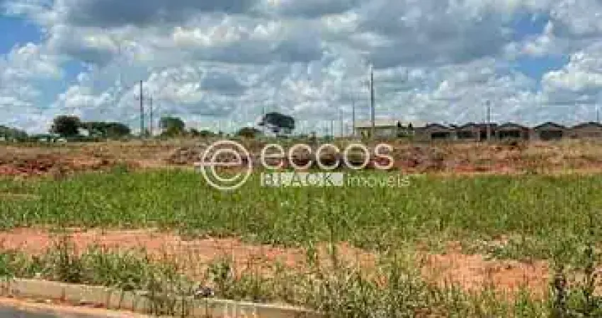 Terreno à venda na Rua Idalina Francisca da Silva Lot. Mansour III, 99, Mansour III, Uberlândia