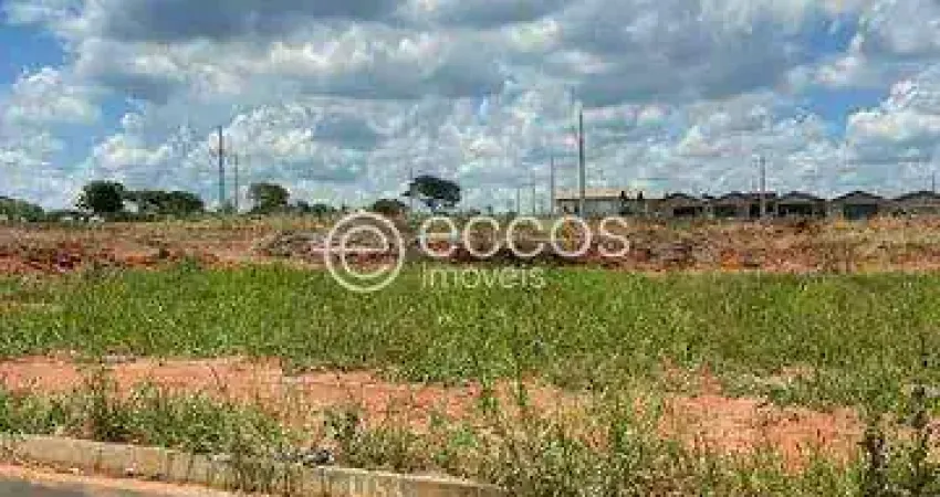 Terreno à venda na Rua Idalina Francisca da Silva Lot. Mansour III, --, Mansour III, Uberlândia
