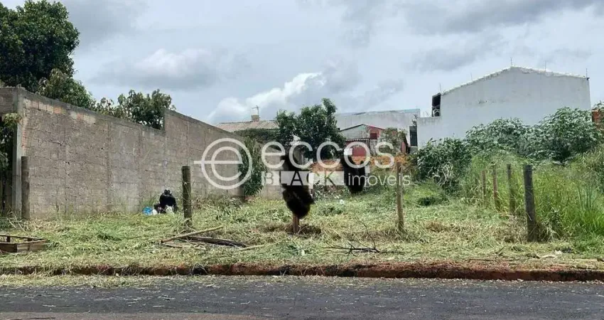 Terreno à venda na Rua Marginal, 107, Shopping Park, Uberlândia