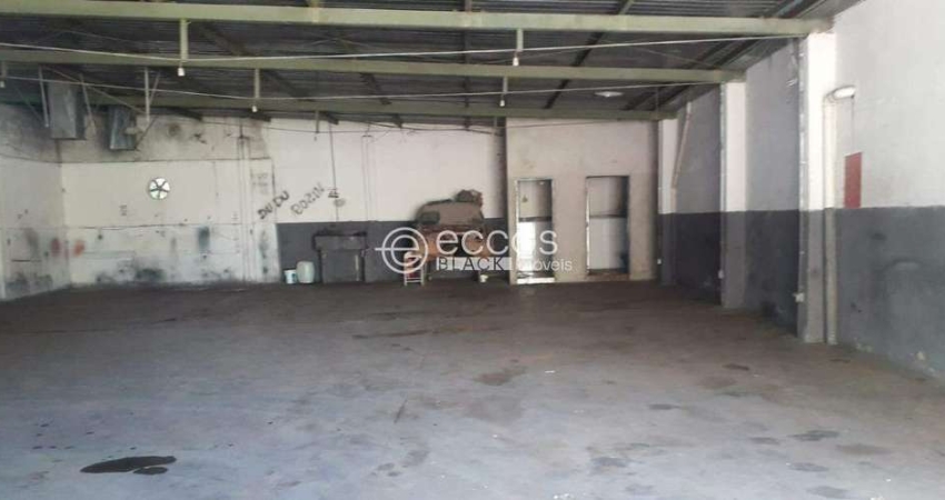 Barracão / Galpão / Depósito para alugar na Rua Monte Alegre, --, Santa Helena, Araguari