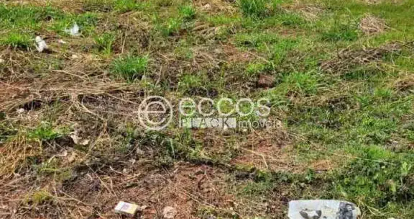 Terreno em condomínio à venda, alto umuarama - uberlândia/mg