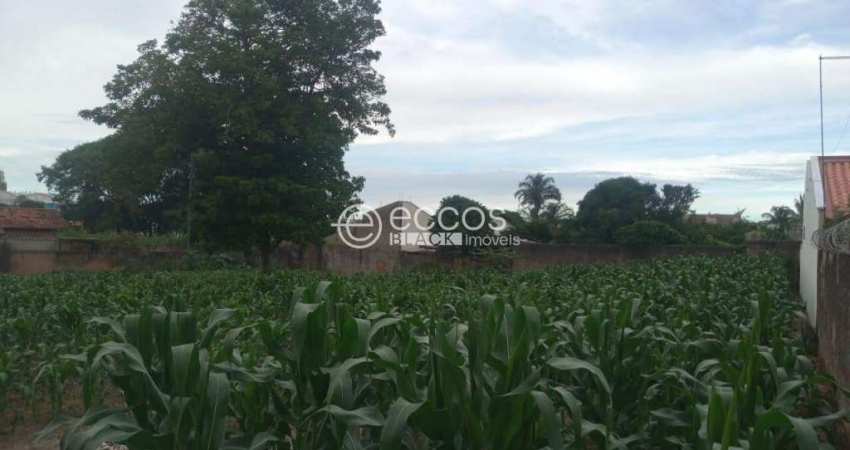 Terreno comercial para alugar na Rua Jornalista João Lourenço, --, Centro, Araguari