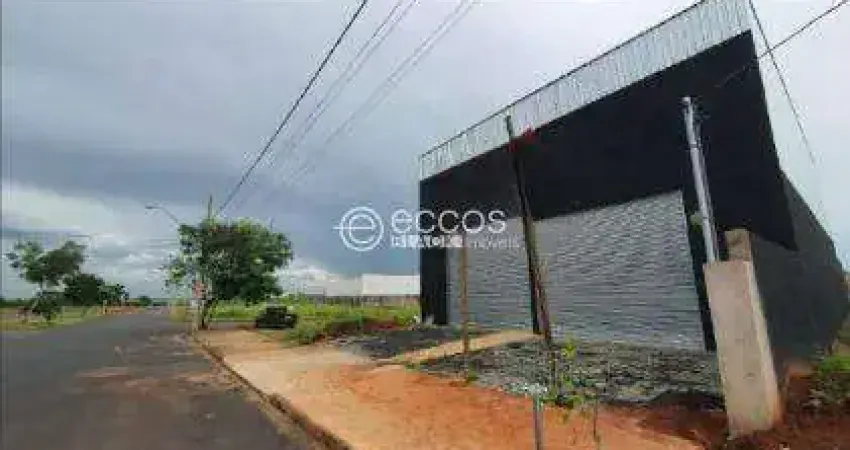 Barracão / Galpão / Depósito para alugar na Avenida Serra Bodoquena, --, São Jorge, Uberlândia