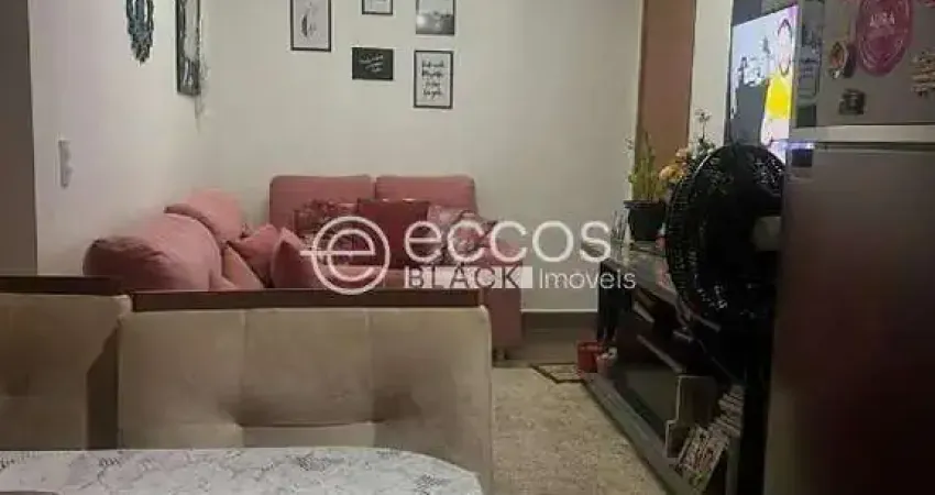 Apartamento à venda, 2 quartos, 1 suíte, 1 vaga, minas gerais - uberlândia/mg