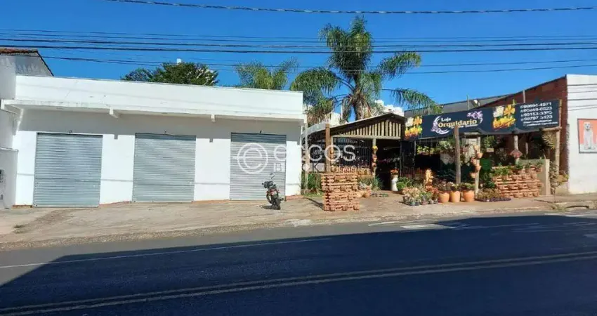 Terreno à venda na Avenida Sílvio Rugani, --, Tubalina, Uberlândia