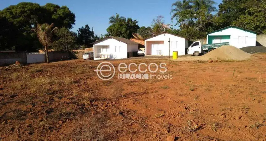 Chácara para aluguel, 3 quartos, 3 suítes, 5 vagas, ÁREA RURAL DE ARAGUARI - ARAGUARI/MG