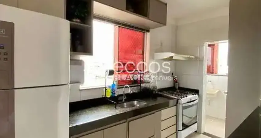 Apartamento à venda, 2 quartos, 1 suíte, 2 vagas, novo mundo - uberlândia/mg