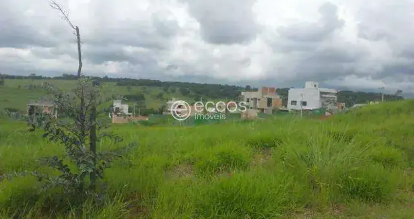 Terreno à venda na Avenida Floriano Peixoto, --, Granja Marileusa, Uberlândia
