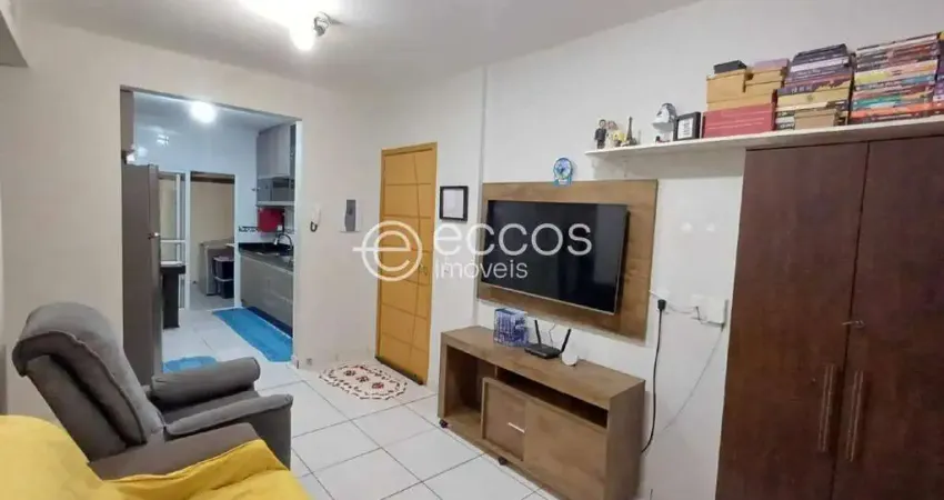 Apartamento à venda, 2 quartos, 1 vaga, Novo Mundo - Uberlândia/MG