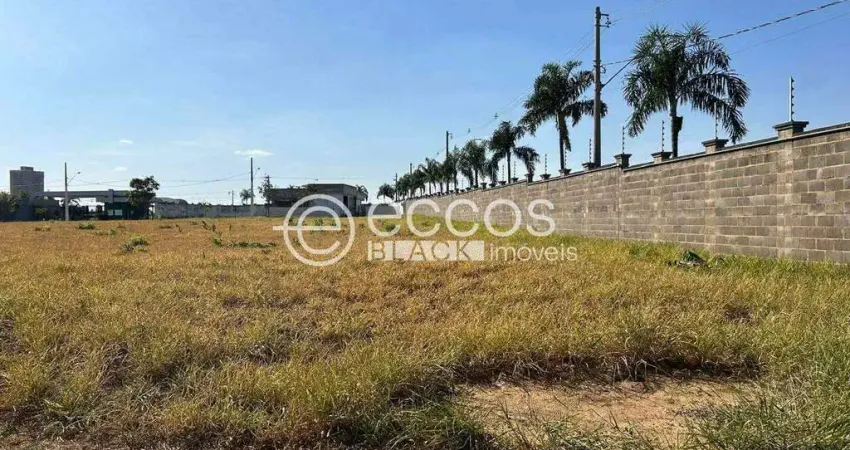 Terreno em condomínio fechado à venda na Rua Professora Maria Célia Cence, 497, Gávea Sul, Uberlândia