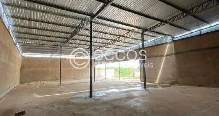Barracão / Galpão / Depósito para alugar na Rua João Borges Guimarães, --, Shopping Park, Uberlândia