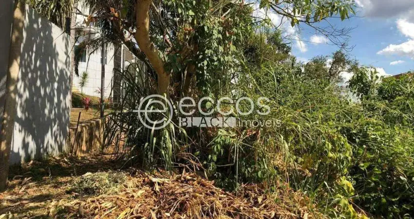 Terreno em condomínio fechado à venda na Avenida Canadá, Mirante da Mata, Nova Lima