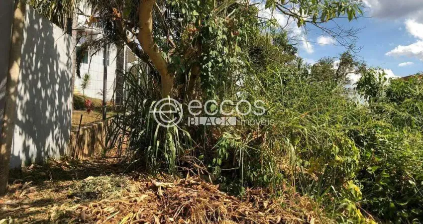 Terreno em condomínio fechado à venda na Rodovia Januário Carneiro, --, Mirante da Mata, Nova Lima