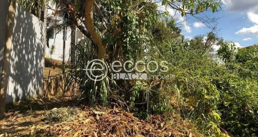 Terreno em condomínio fechado à venda na Rodovia Januário Carneiro, 86, Mirante da Mata, Nova Lima