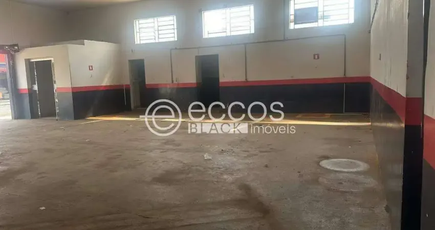 Barracão / Galpão / Depósito para alugar na Rua Marcílio Dias, 504, Jardim Regina, Araguari