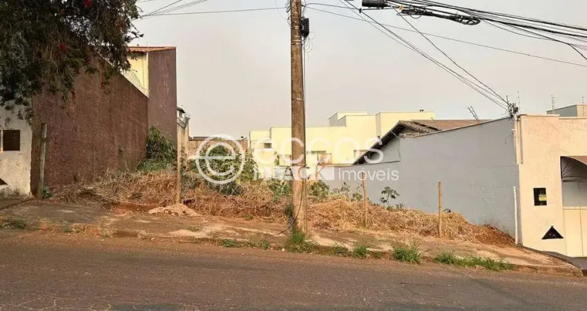 Terreno à venda na Rua Jandyro Vilela de Freitas, 108, Vigilato Pereira, Uberlândia