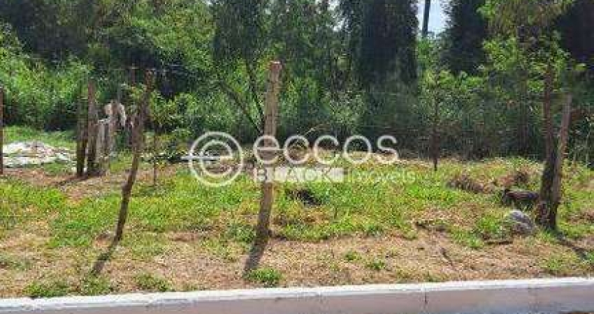 Terreno à venda na Rua José Pinto de Matos, --, Mangueiras, Lagoa Santa