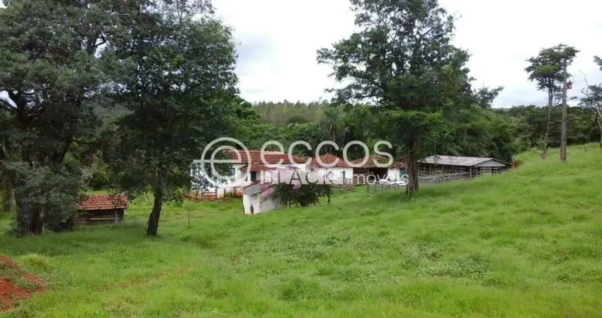Chácara / sítio à venda na Fazenda Santo Inácio, 71, Área Rural de Uberlândia, Uberlândia