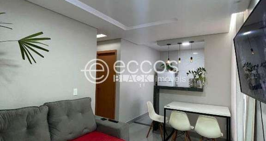 Apartamento para aluguel, 2 quartos, 1 vaga, Primavera Parque - Uberlândia/MG
