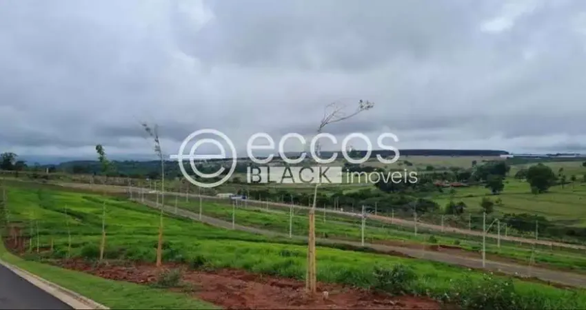 Terreno em condomínio à venda, granja marileusa - uberlândia/mg