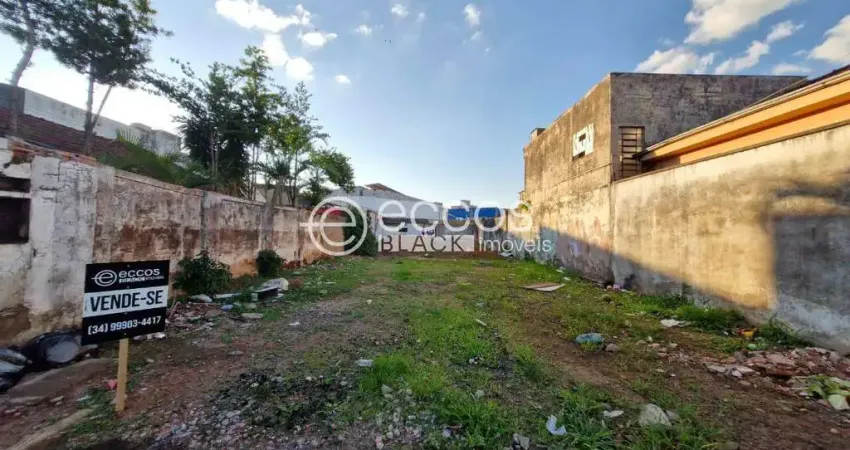 Terreno à venda na Avenida Monsenhor Eduardo, --, Bom Jesus, Uberlândia