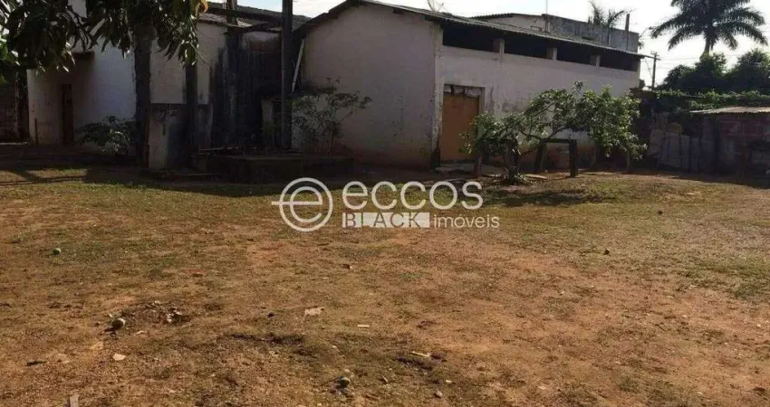 Terreno à venda na Avenida Saudade, --, Miranda, Araguari