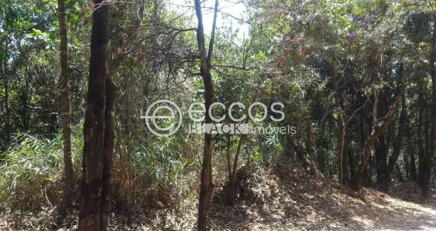 Terreno em condomínio fechado à venda na Alameda Amigo do Rei, 107, Passárgada, Nova Lima