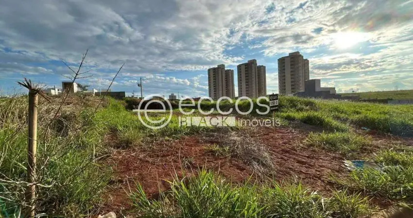 Terreno à venda na Rua Maria Dias do Amaral, 65, Portal do Vale, Uberlândia