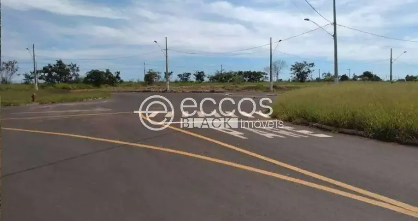 Terreno à venda na QU L13, 102, Jardim Milenium, Araguari