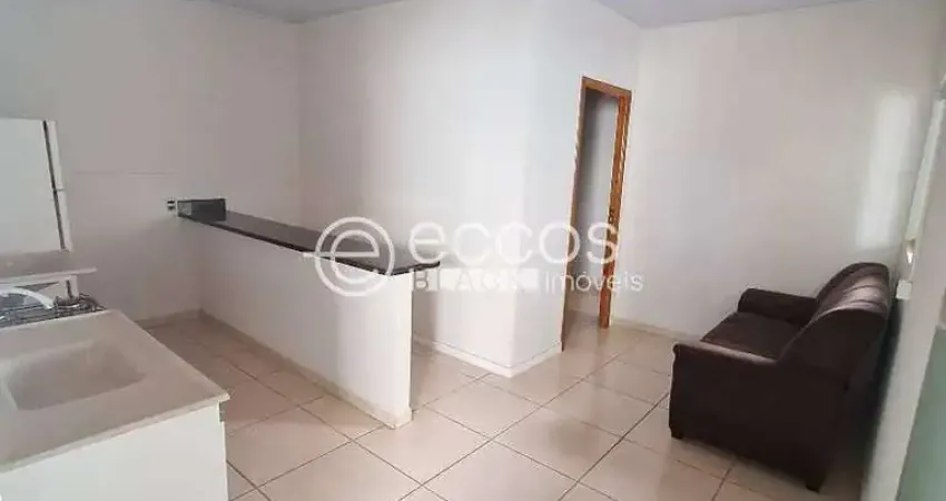 Apartamento para aluguel, 1 quarto, 1 suíte, 1 vaga, centro - araguari/mg