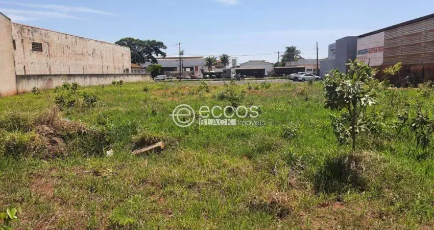 Terreno à venda na Rua Irmã Margarida, --, Bosque, Araguari
