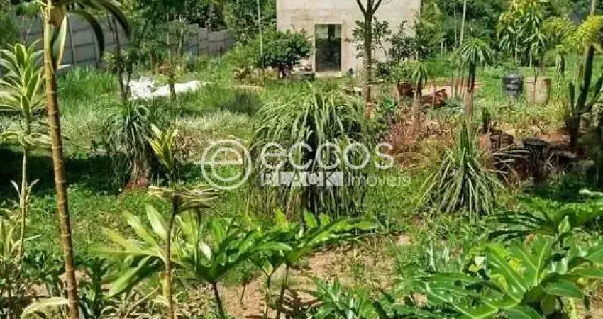 Chácara / sítio à venda na Avenida Rio Acima, 137, Shopping Park, Uberlândia