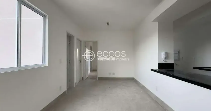 Apartamento à venda, 2 quartos, 1 suíte, 2 vagas, Santa Efigênia - Belo Horizonte/MG