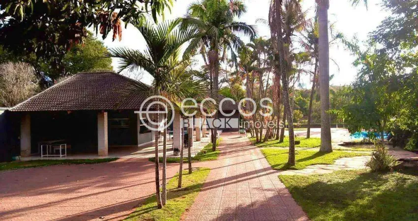 Chácara à venda, 3 quartos, 1 suíte, 20 vagas, patrimônio - uberlândia/mg