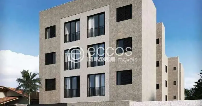 Apartamento à venda, 2 quartos, 1 suíte, 2 vagas, santa maria - uberaba/mg