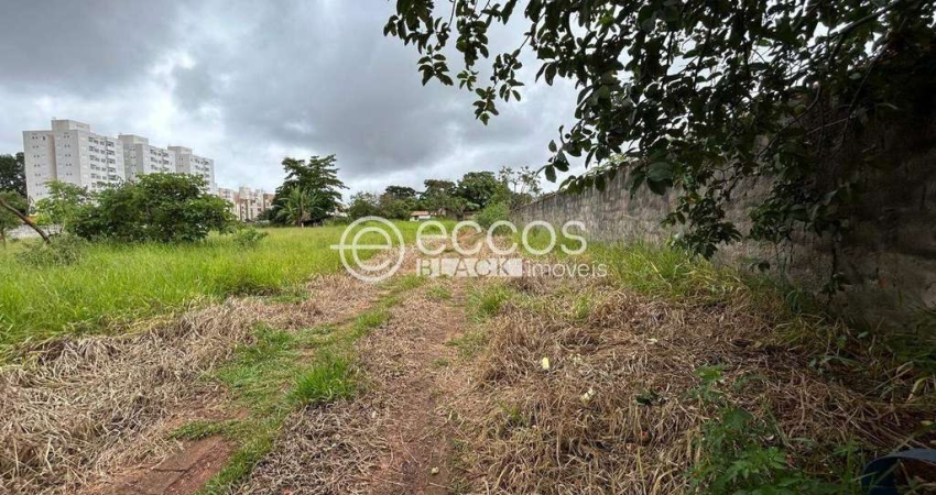 Terreno à venda na Alameda Jardim Holanda, --, Jardim Holanda, Uberlândia